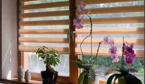 Understanding the Different Materials Used in Blinds